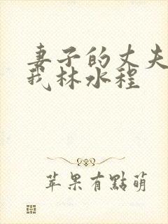 妻子的丈夫不是我林水程封面