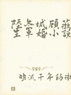 陆冬城顾薇薇重生军婚小说