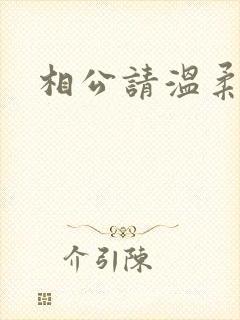 相公请温柔一点封面