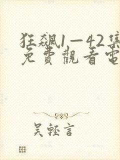 狂飙1—42集免费观看电视剧在线播放