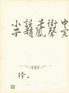 小说老街中的痞子赵凤声完整下载封面