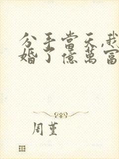 分手当天,我闪婚了亿万富豪小说