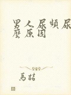 男人尿频尿是什么原因