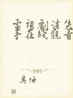 电视剧消失的凶手在线观看2026