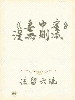 《妻中蜜》3动漫无删减