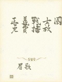 正义战士国语版免费播放