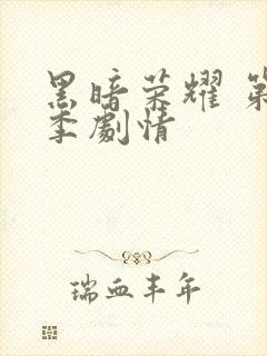 黑暗荣耀 第二季剧情封面