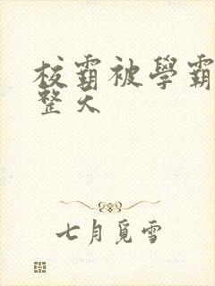 校霸被学霸罚一整天