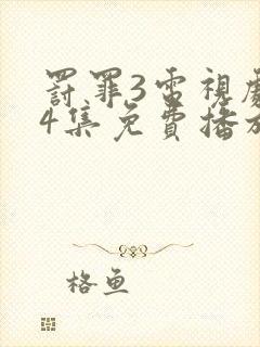 罚罪3电视剧24集免费播放封面