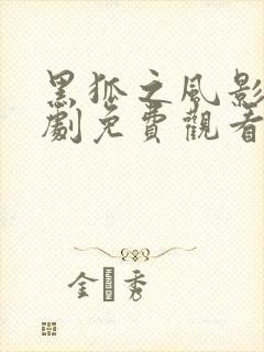 黑狐之风影电视剧免费观看全集