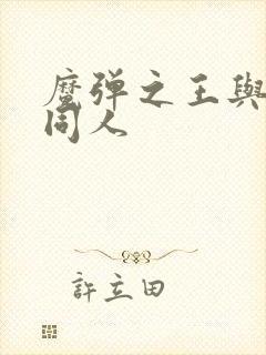 魔弹之王与战姬同人