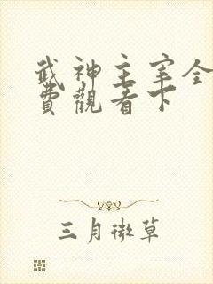 武神主宰全集免费观看下