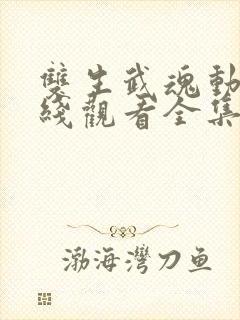 双生武魂动漫在线观看全集高清封面