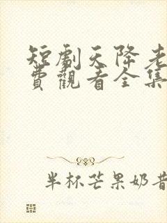 短剧天降老婆免费观看全集