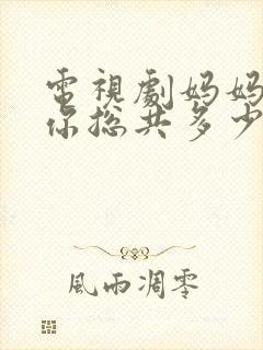 电视剧妈妈在等你总共多少集