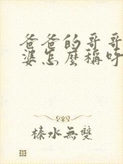 爸爸的哥哥的老婆怎么称呼