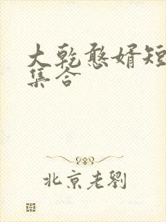 大乾憨婿短剧全集合