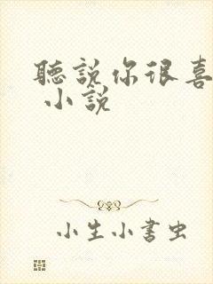 听说你很喜欢我 小说