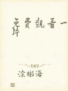 免费观看一级淫片