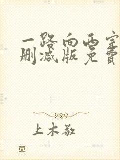 一路向西完整未删减版免费封面