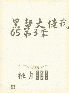 黑帮大佬我的365第3季