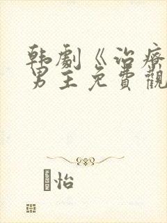 韩剧《治疗》双男主免费观看