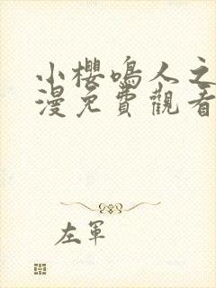 小樱鸣人之夜动漫免费观看全集高清版封面