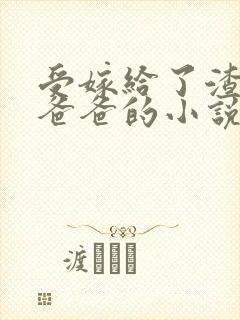 受嫁给了渣攻的爸爸的小说