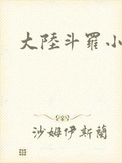 大陆斗罗小说封面