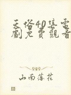 天俗40集电视剧免费观看