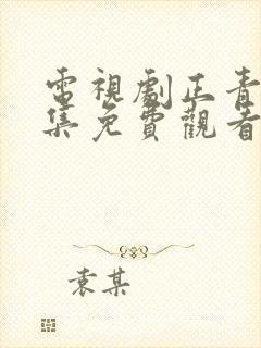 电视剧正青春全集免费观看