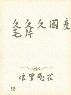 久久久国产精品毛片