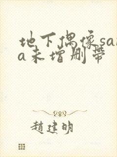 地下偶像sana未增删带