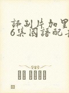 译制片加里森26集国语配音免费观看