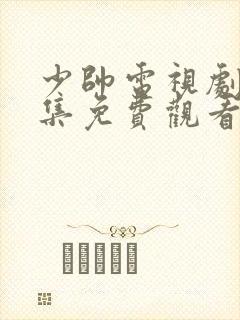 少帅电视剧48集免费观看高清