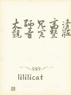 大师兄高清在线观看完整版