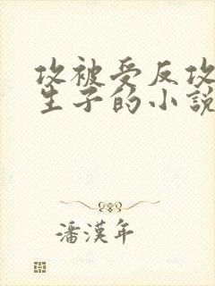 攻被受反攻最后生子的小说封面