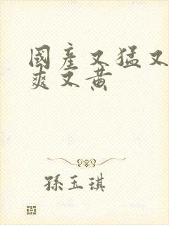 国产又猛又粗又爽又黄封面