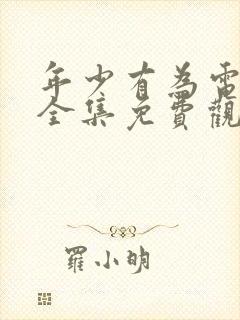 年少有为电视剧全集免费观看10封面