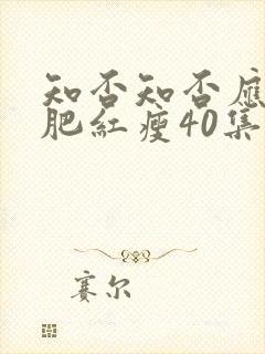 知否知否应是绿肥红瘦40集