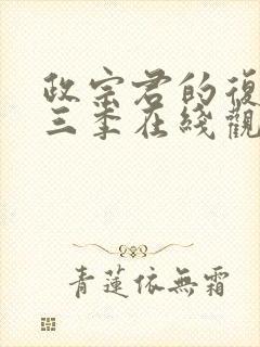 政宗君的复仇第三季在线观看