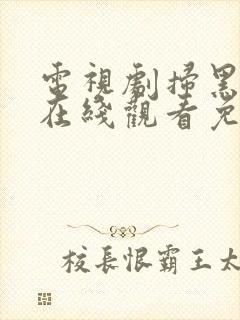 电视剧扫黑风暴在线观看免费完整版