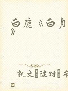 白鹿《白月梵星》