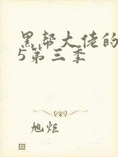 黑帮大佬的365第三季