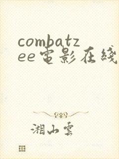 combatzee电影在线观看免费高清