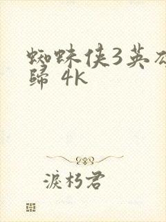 蜘蛛侠3英雄无归 4k