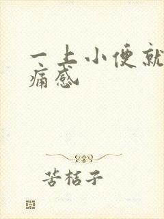 一上小便就有刺痛感