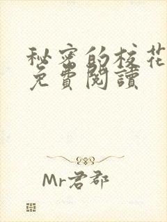 秘密的校花小说免费阅读