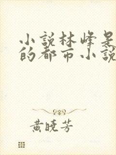 小说林峰是主角的都市小说