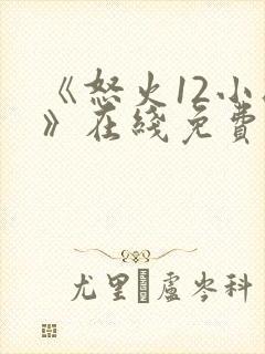 《怒火12小时》在线免费观看